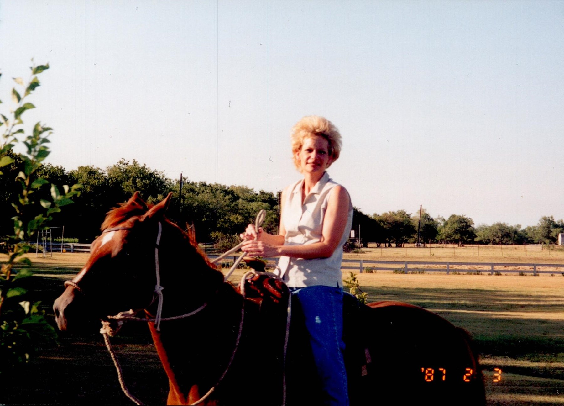 Obituary of Carol Lynn Fulkerson Brickler
