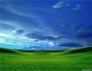 Obituario de Anita Frances Low