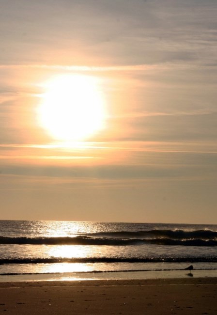 Obituary of John Walter Mallory II