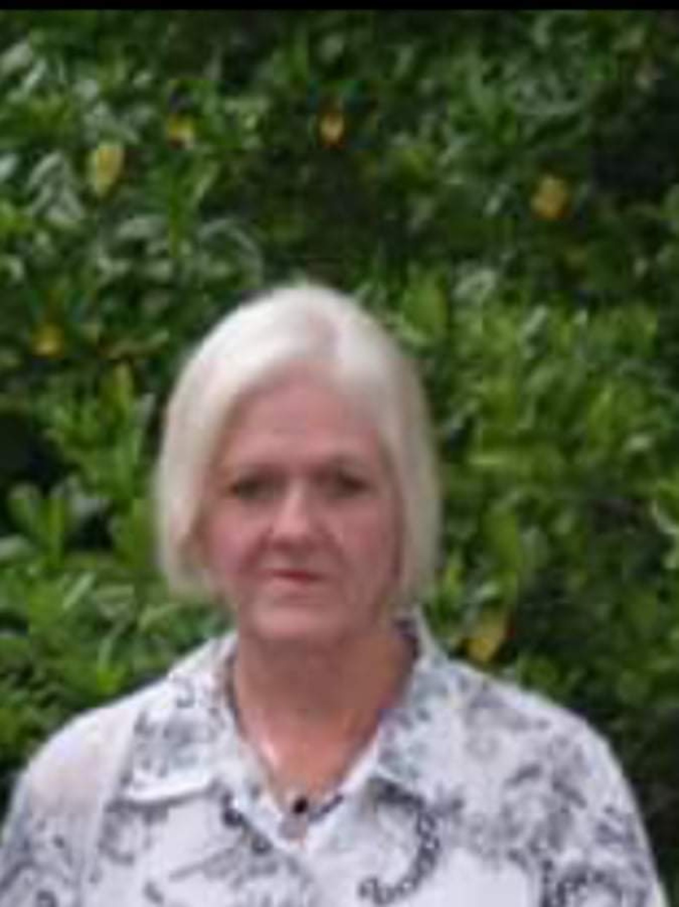 Obituary of Teresa Gail Jenkins