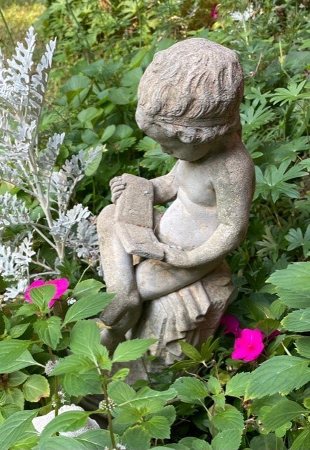 Obituary of Shari Lee Robinson