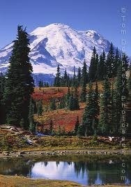 Obituario de Lee Handy