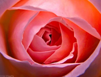 Obituary of Cheryl F Hawkins