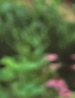 James "Jim" Hugh Thomas Jr. Obituary Greensboro, NC