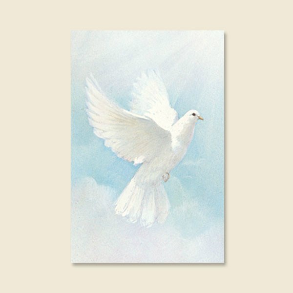 Obituary of Robert Reyes