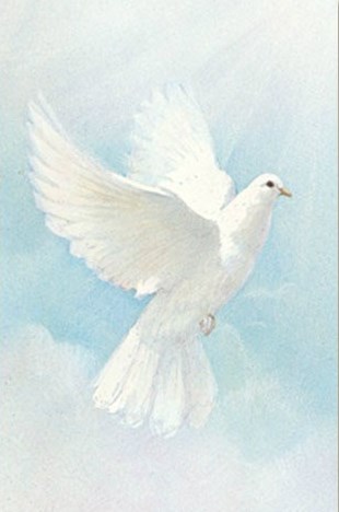 Obituary of Robert Reyes