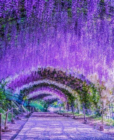 Obituary of Peggy Eileen Pierre