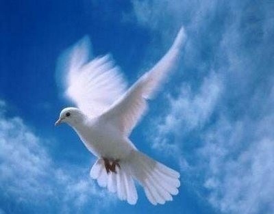 Obituario de __________________ ___________________ __________________