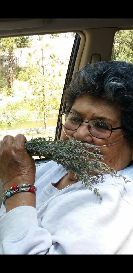 Obituary of Rose Ann  Clinton