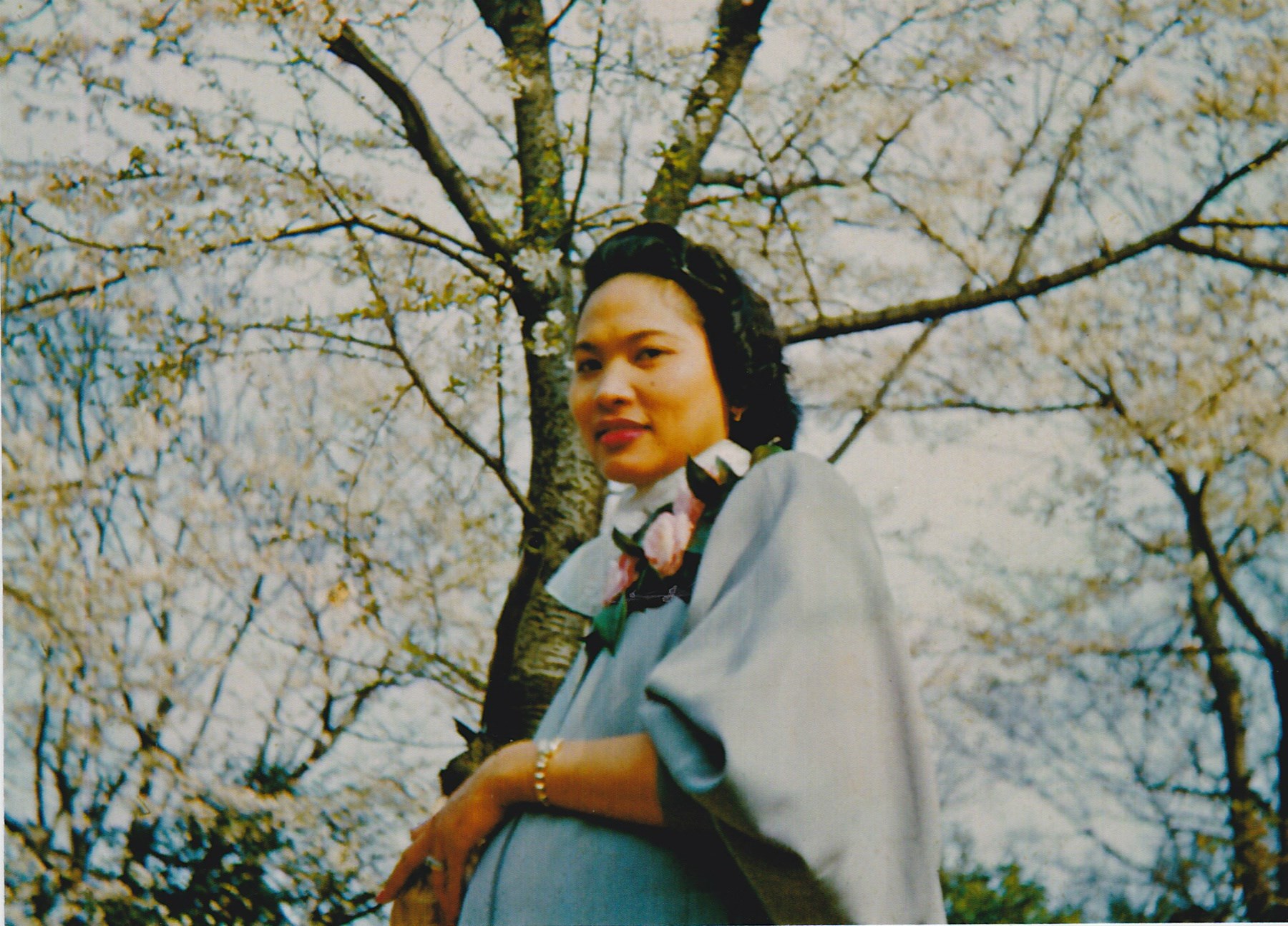 Angelina Bailey Obituary Springfield Va