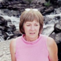Obituary of Sharon N. Merkt-Rink