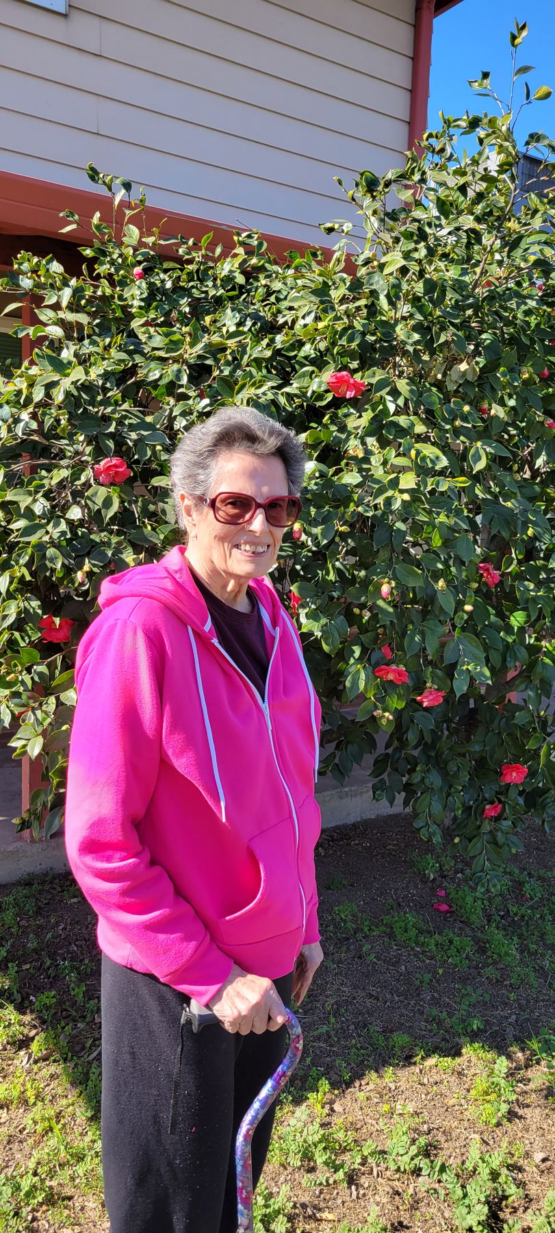 Obituary of Patricia Josephine Musso