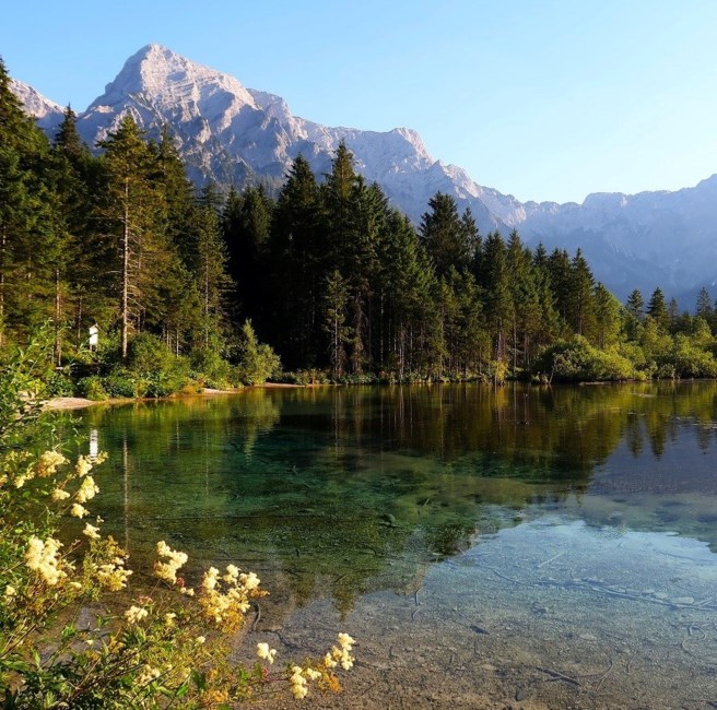 Obituary of Rudolph Rodriguez