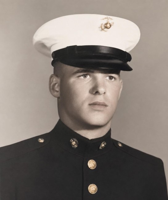Obituary of Terry Lou Quinn