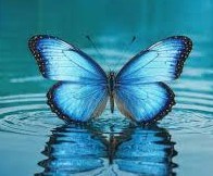 Obituary of Linda Jean Lockhart