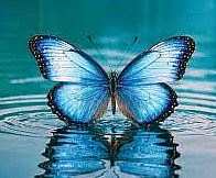 Obituary of Linda Jean Lockhart