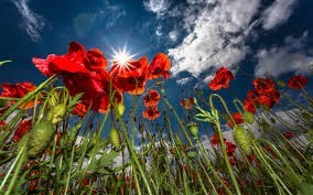 Obituary of Theresa Garcia