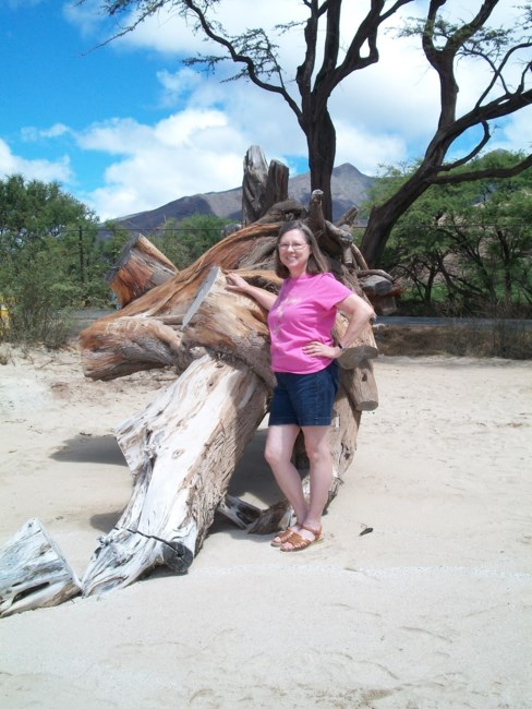 Obituary of Mrs. Shirly Ann Hoover