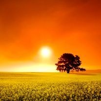 Obituary of Thomas Hines