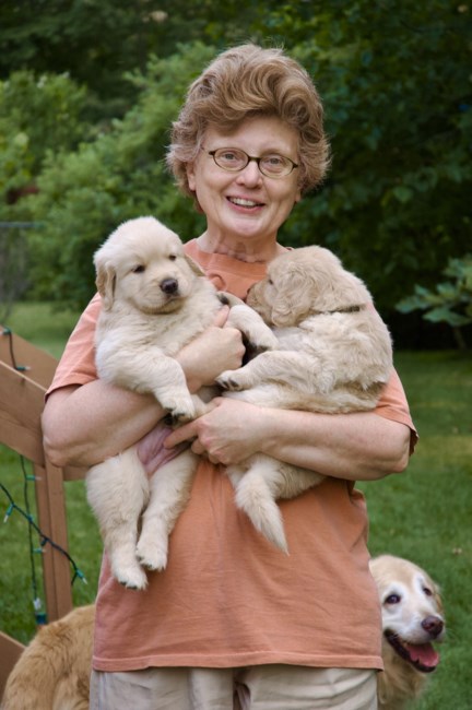 Obituary of Sheila O'Brien Schimpf