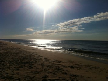 Obituary of Wendy A Gavaghan