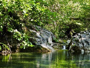 Obituary of Willard Junior Anderson