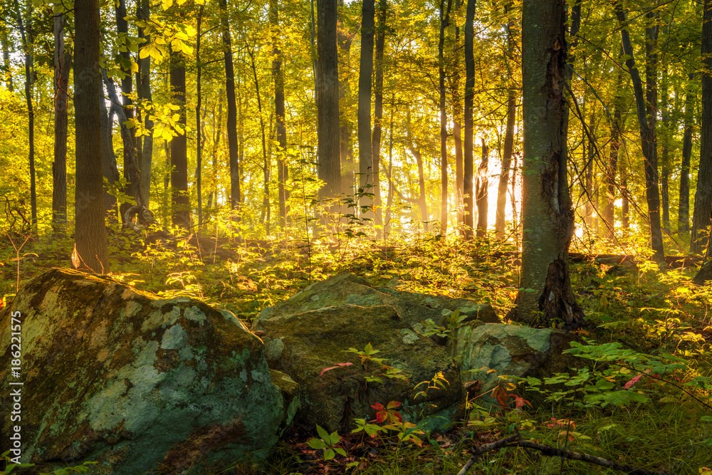 Randy White Obituary Scottsbluff, NE