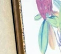 dixon funeral home houston texas Johana Sherwood