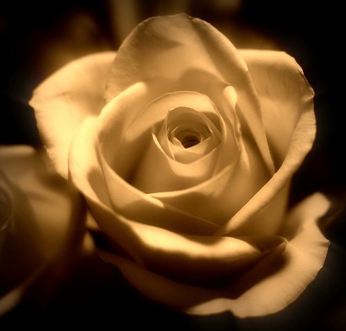 Obituary of Cleo L. Davis