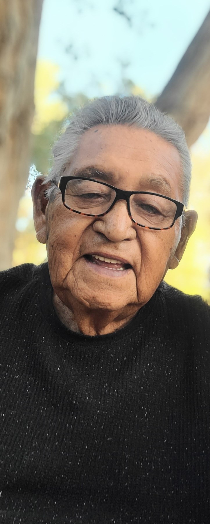 Obituary of Felix Alvarez Ramirez Sr.