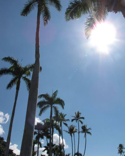 Obituary of James Masanobu Miyashiro