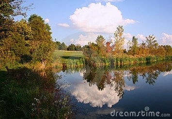 Obituary of Gerhard Wendel