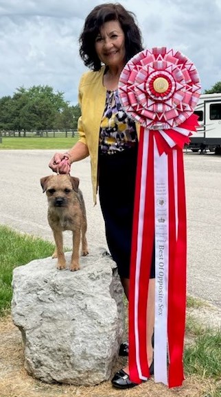 Obituary of Catherine "Cathy" F. Foley Meyer