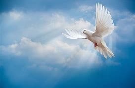 Obituario de Ricky Ray Swindle