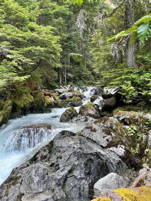 Obituary of Monty Wayne Gianfrancesco