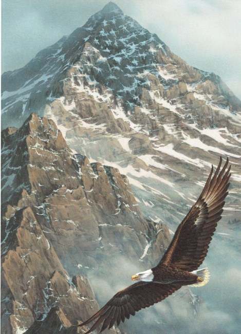 Obituary of William D. McClary