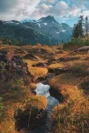 Obituary of Russell Cornelius