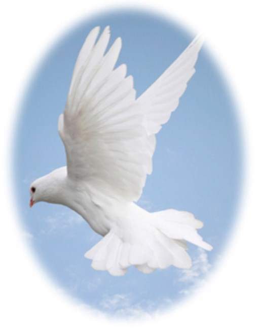 Obituary of Frank Woods