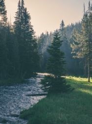 Obituary of Clyde Allen Richards