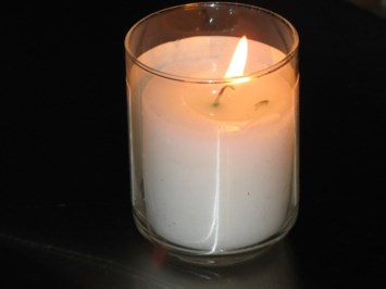 Obituary of Renee Greenstein