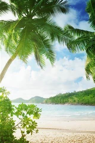 Obituary of Sarah Evelyn Snider