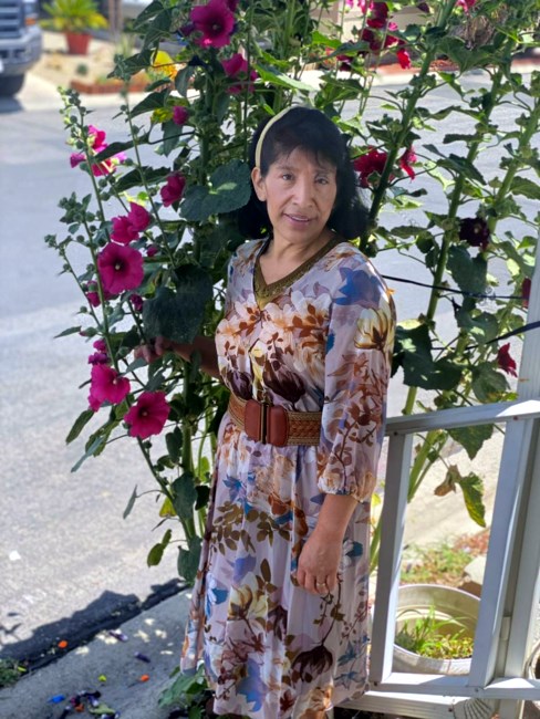 Obituary of Beatriz Amparo Pérez Funes