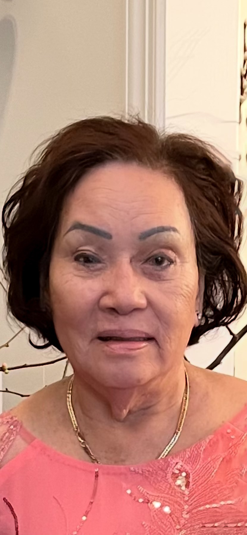 Obituary of Chin Thi Phan