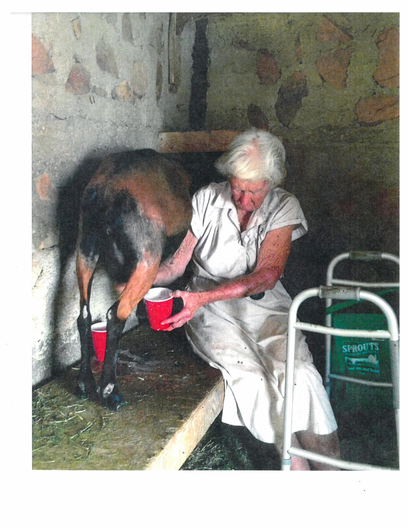 Obituary of Rosalie Mary Travis