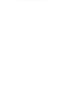 Virginia M. Romba Obituary - Crown Point, IN