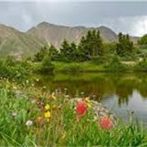 Obituary of Marilyn Joann Hall