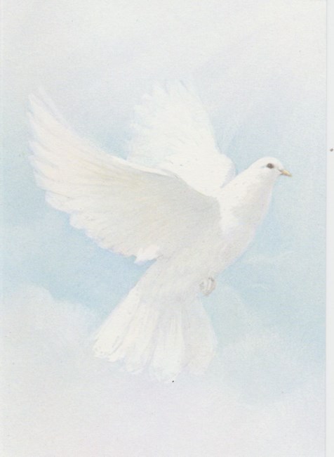 Obituary of Anthony Joseph Argento Jr.