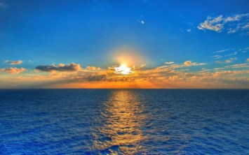 Obituary of Sandra Jo Herring