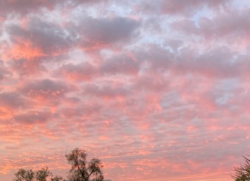 Obituary of Jay William Rondeau