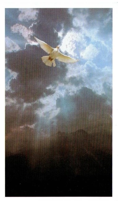 Obituary of Alberto Lopez